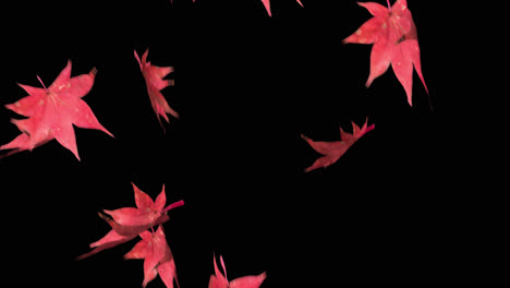 Herbstblätter-Fallen